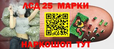 PSILOCYBIN Кингисепп