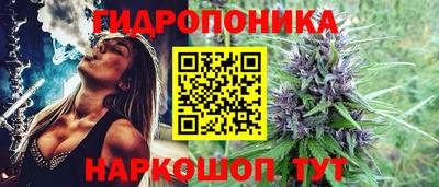 гашиш Кимры